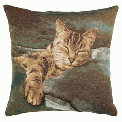 Подушка декоративная Спящая кошка  (голубой фон)