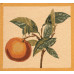 Подушка декоративная Апельсин